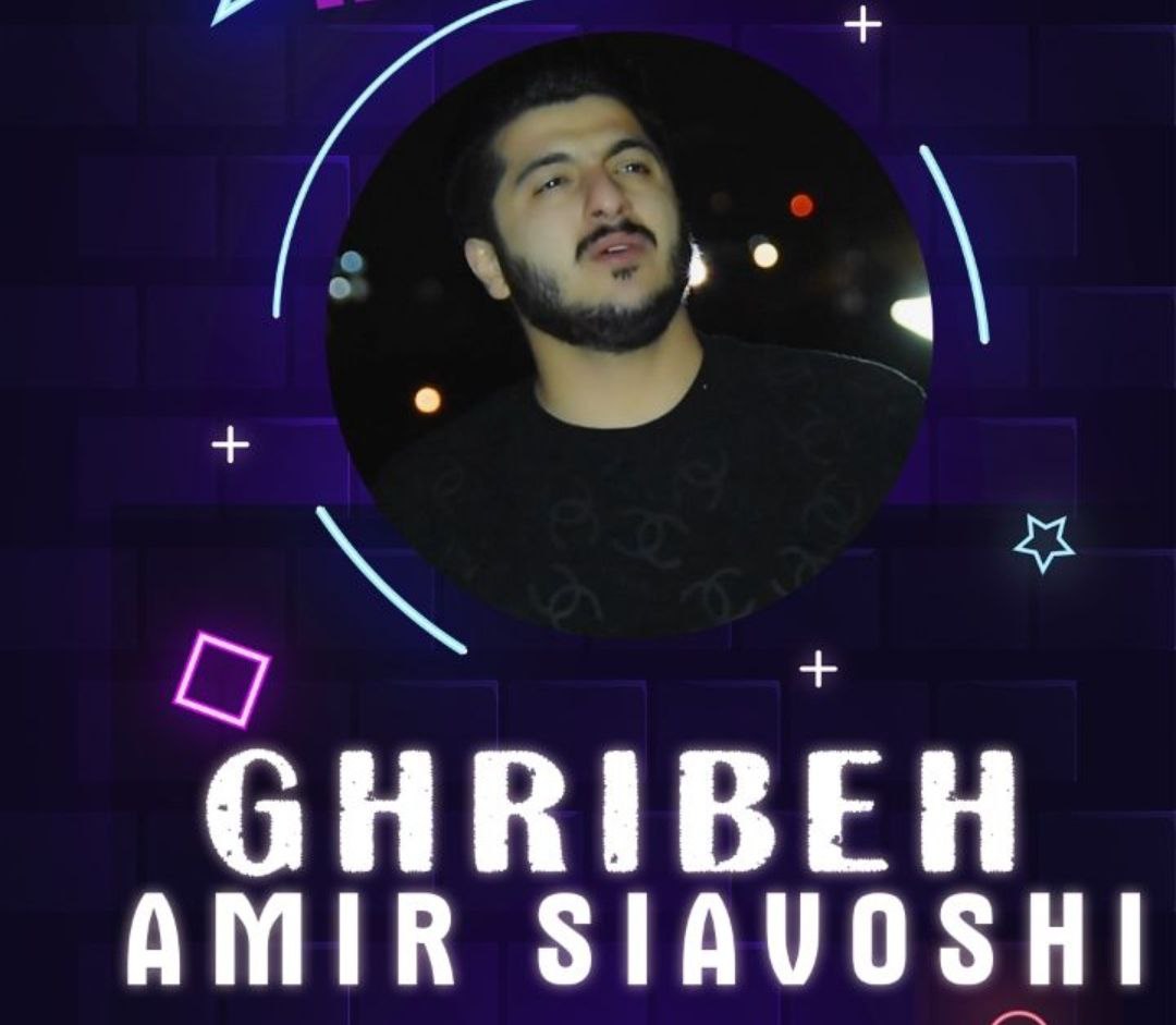 امیر سیاوشی غریبه